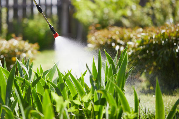 24/7 Emergency Mosquito Control experts in Wauwatosa, WI